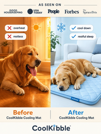 Cooling Mat